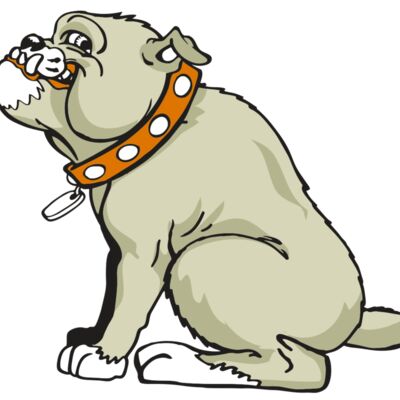 AR BDOG 26 RC Thumbnail